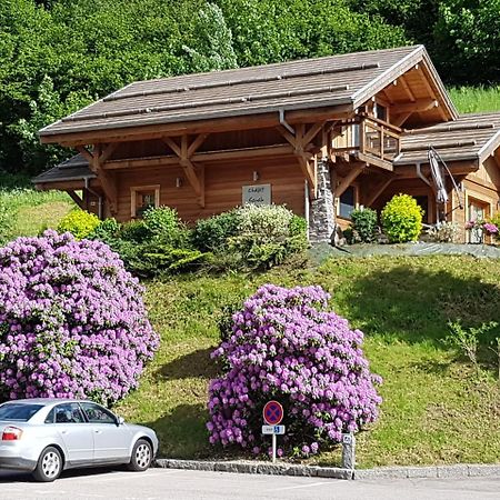 Les Chalets des Chatelminés La Bresse Exterior foto